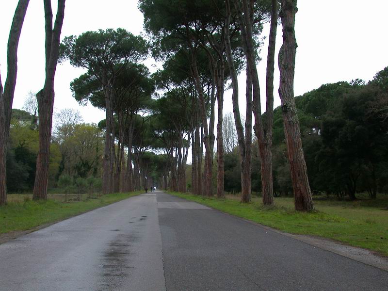 Mycoflora  toscana - Che grande soddisfazione....